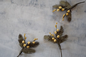 ミモザ ブローチ