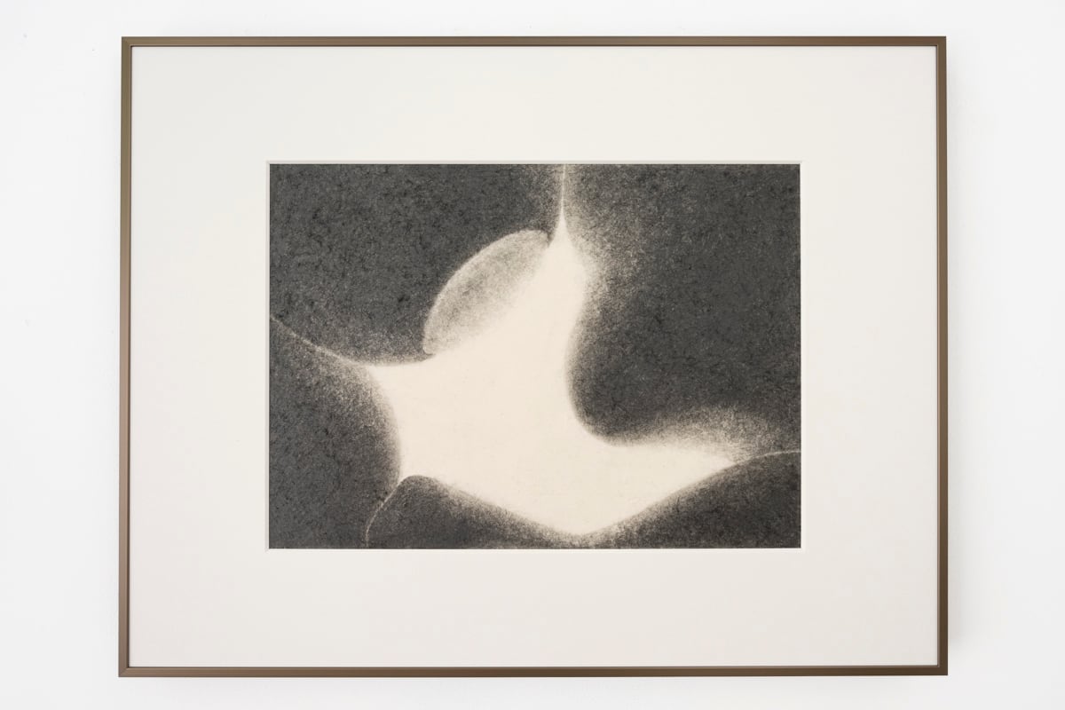 「Stuffed Toy」江波戸陽子 作