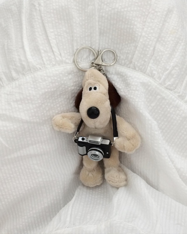 camera gromit key holder