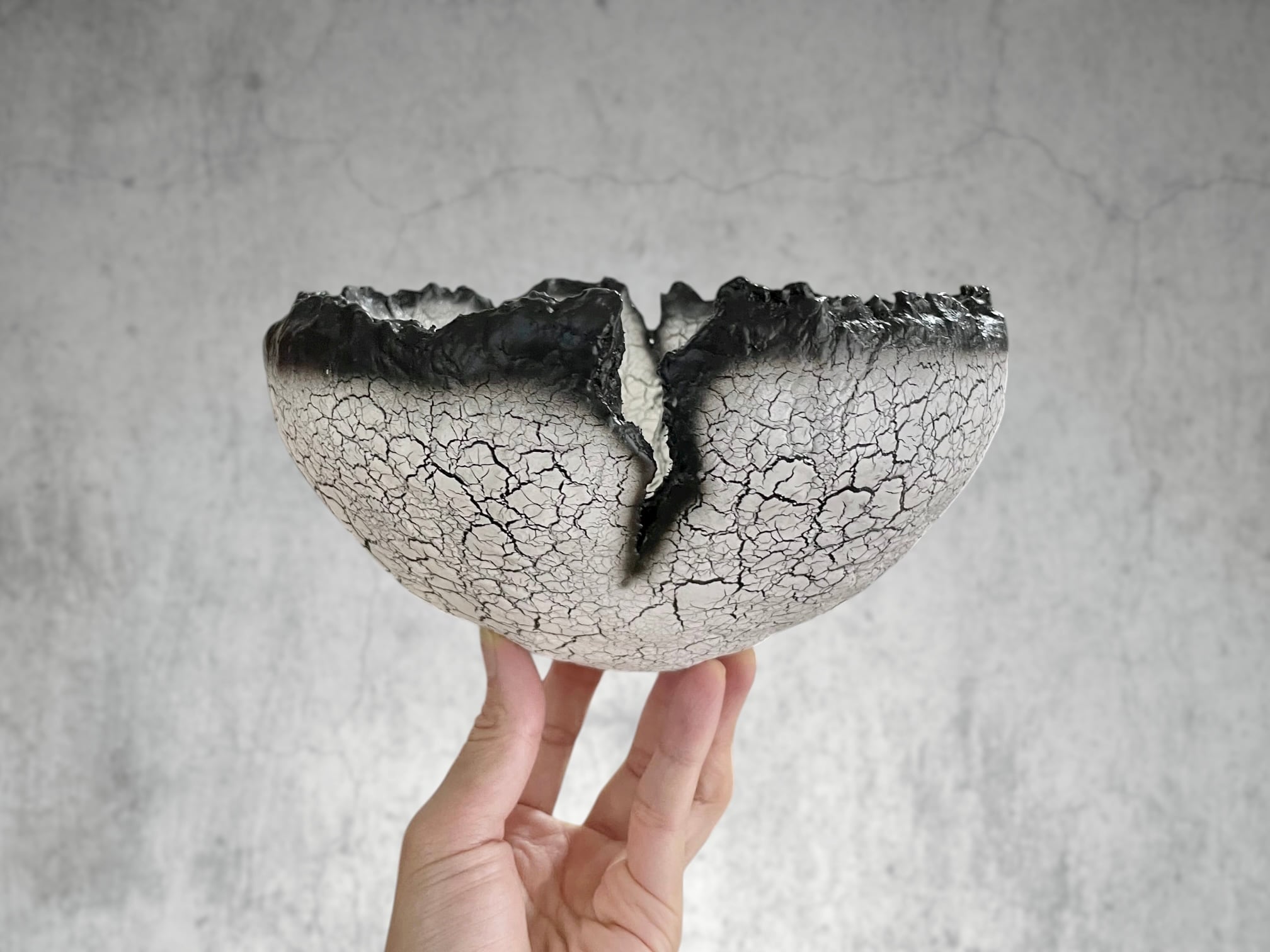 Five Elements Plants Dragon Eggs crack 鉢 F.E.P. (Five Elements Plants)