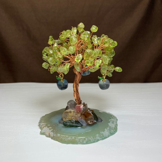1.青いりんごがなる招財樹・ペリドット