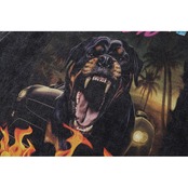 VINTAGE ストリート 燃える犬 Tシャツ T204