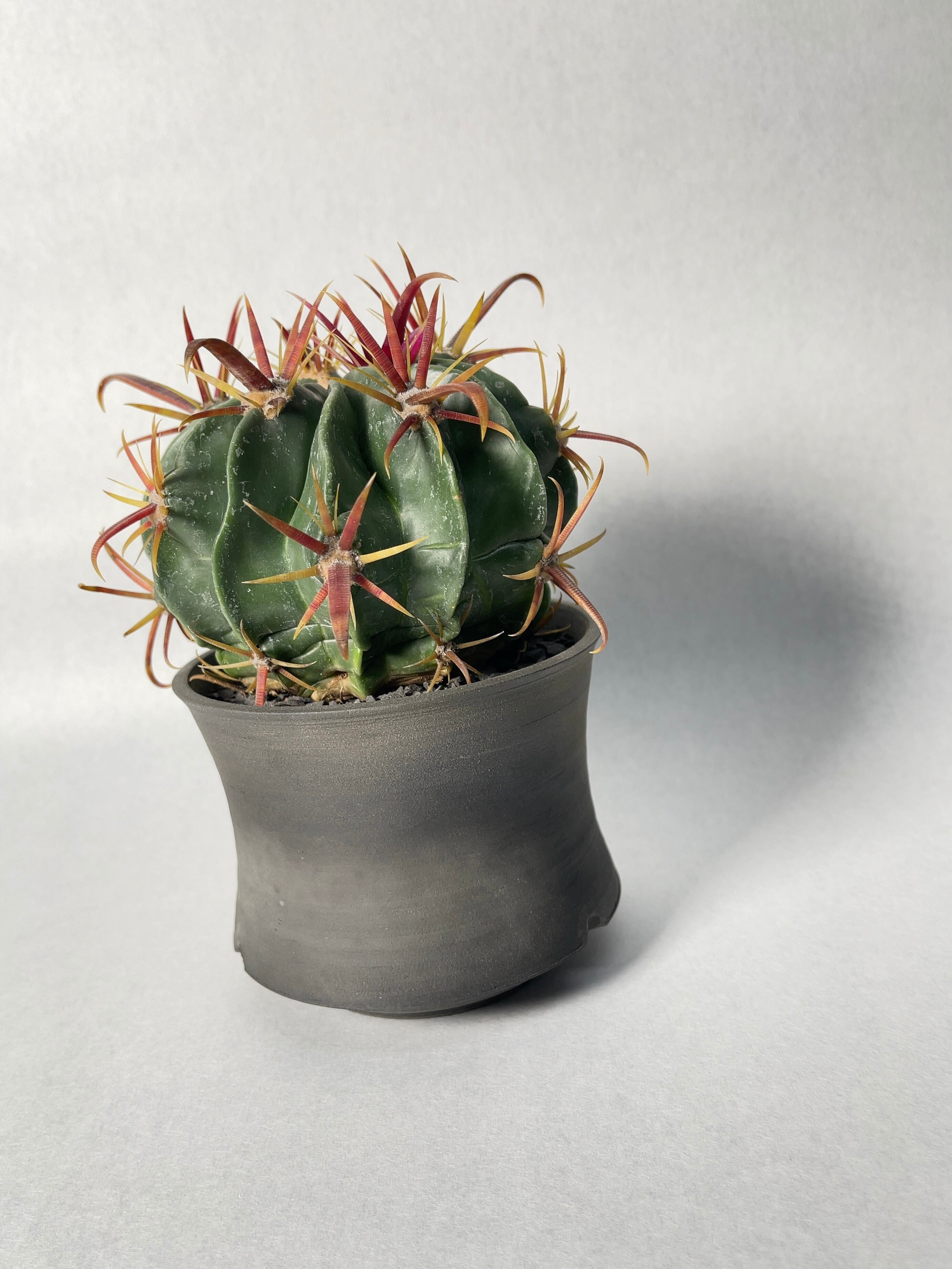 c47ee2007b126e56d9542a2c6fc418