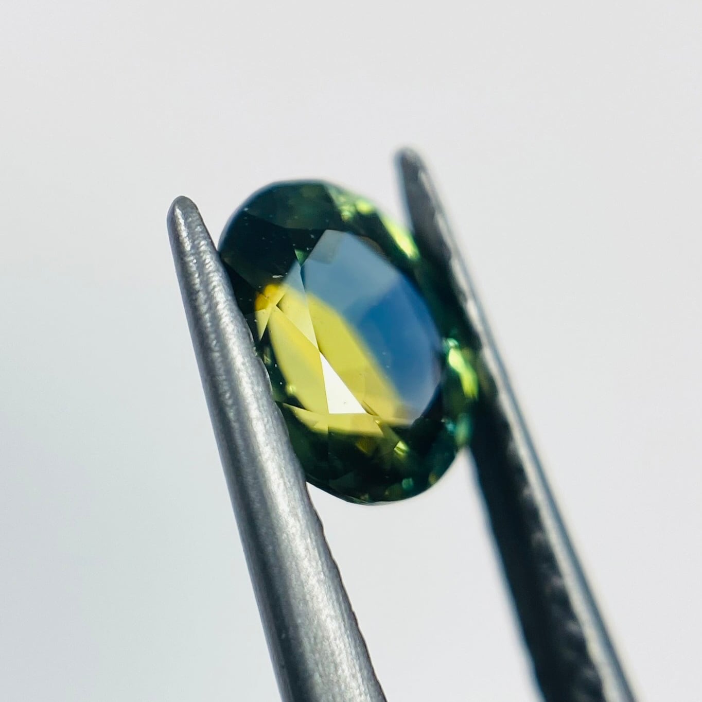 フレッシュなサファイア