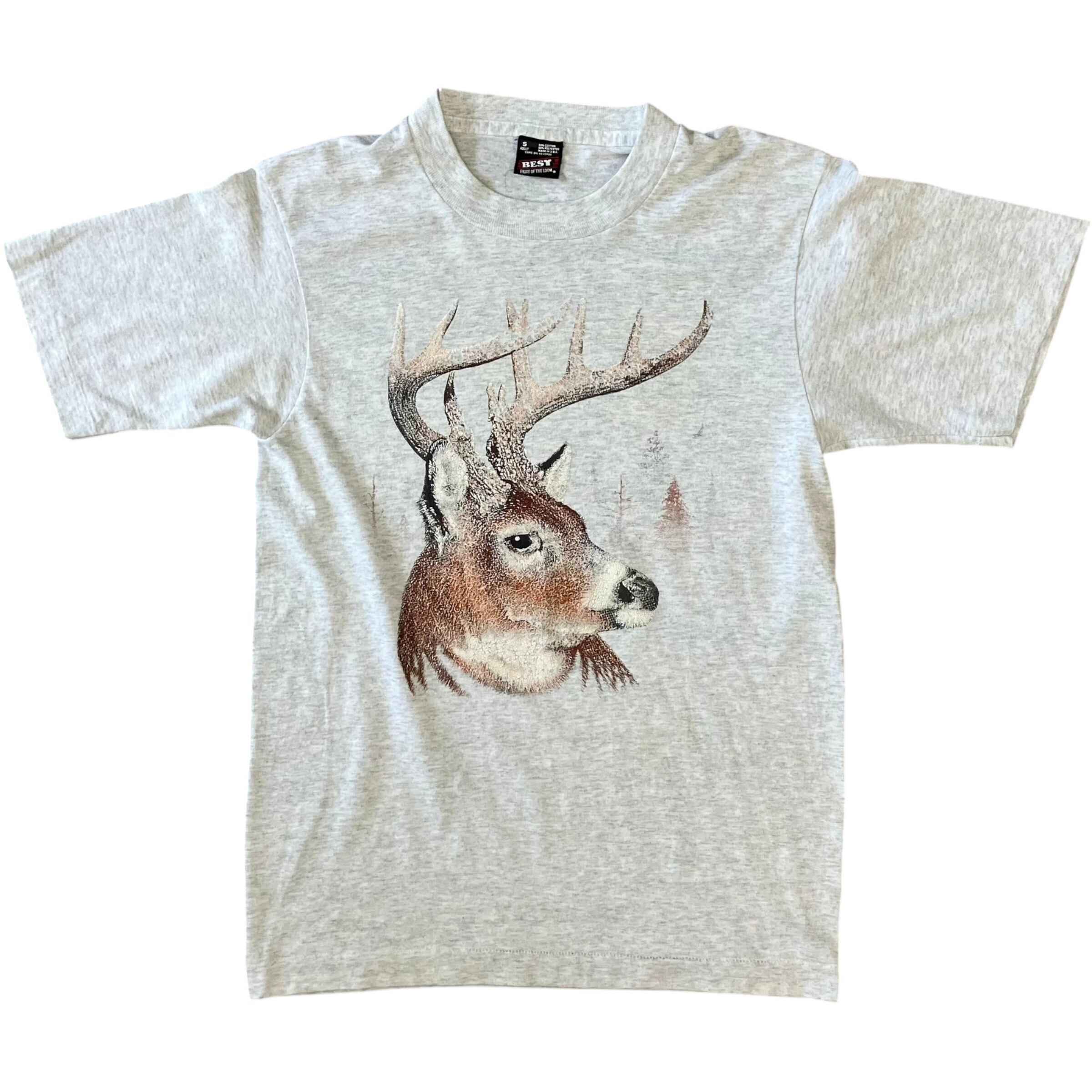 《S》FRUIT OF THE ROOM フルーツオブザルーム90s usa製 プリントTee No.2523