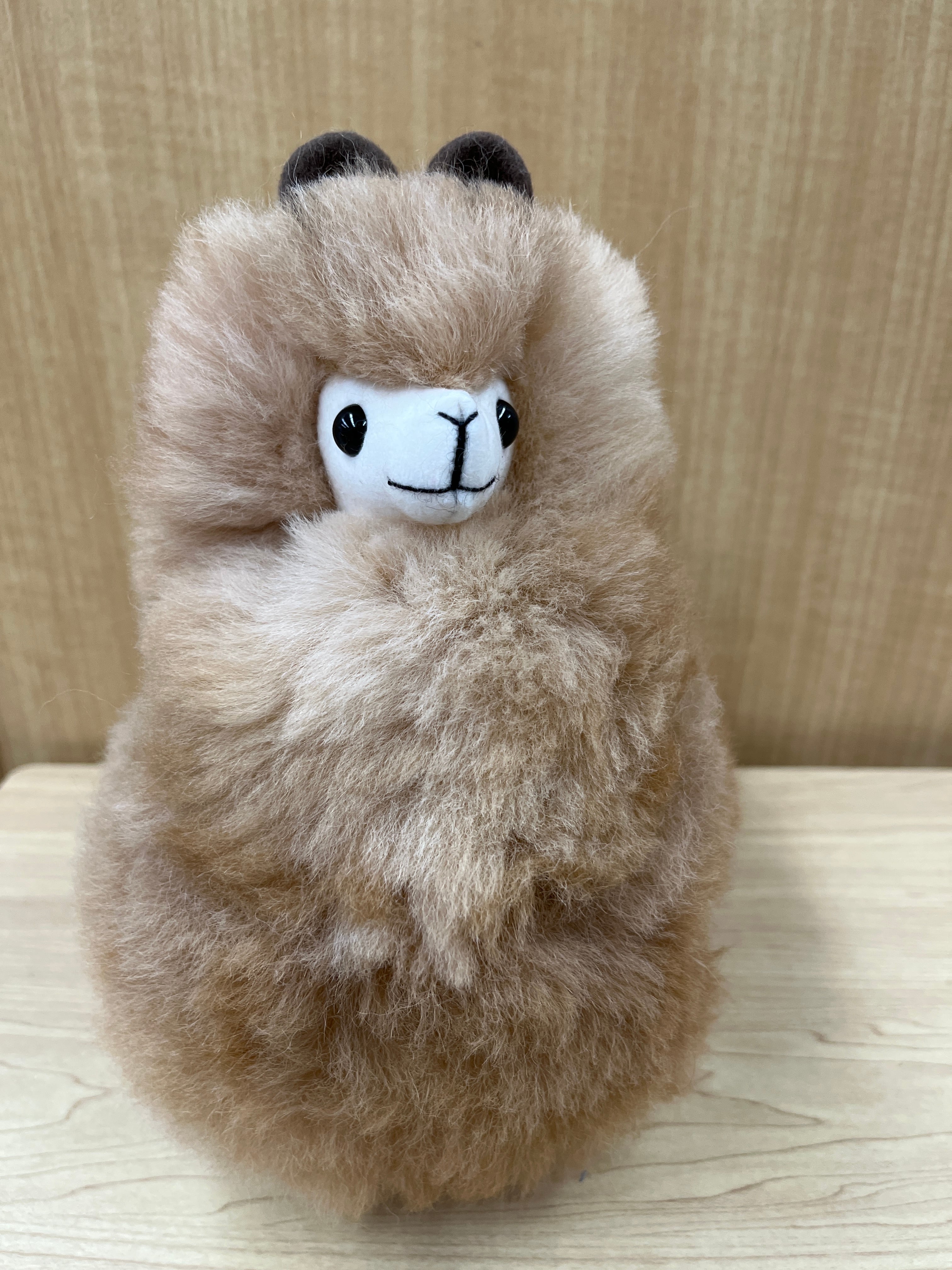 ぬいぐるみ | ALPACA WORLD