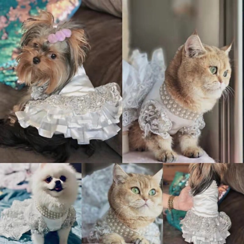 送料無料!犬の服 ネコ服 猫用夏服 ワンピース ウエディング 送料無料!犬の服 ネコ服 猫用夏服 ワンピース ウエディング