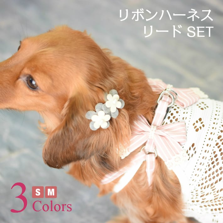 犬 ハーネス] リボン ボーダー ハーネス リード セット | HAPI&Co