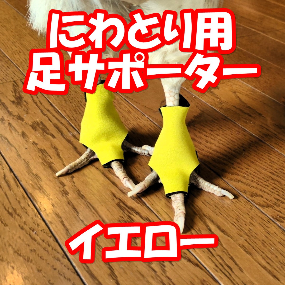 c48d503c17bafdac99900d197224ea
