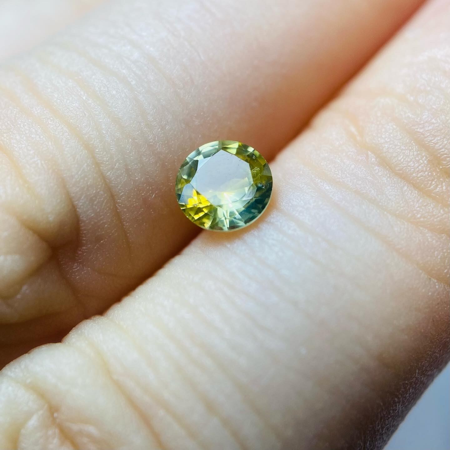 菜の花に青空　サファイア