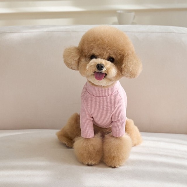 【予約】[Mabellefifi] マストハブ シンプル リブ編みタートルネック（ピンク）