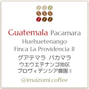 【送料込】グアテマラ パカマラ ウエウエテナンゴ地区 プロヴィデンシア農園II - Guatemala Pacamara Huehuetenango Finca La Providencia II - 300g(100g×3)