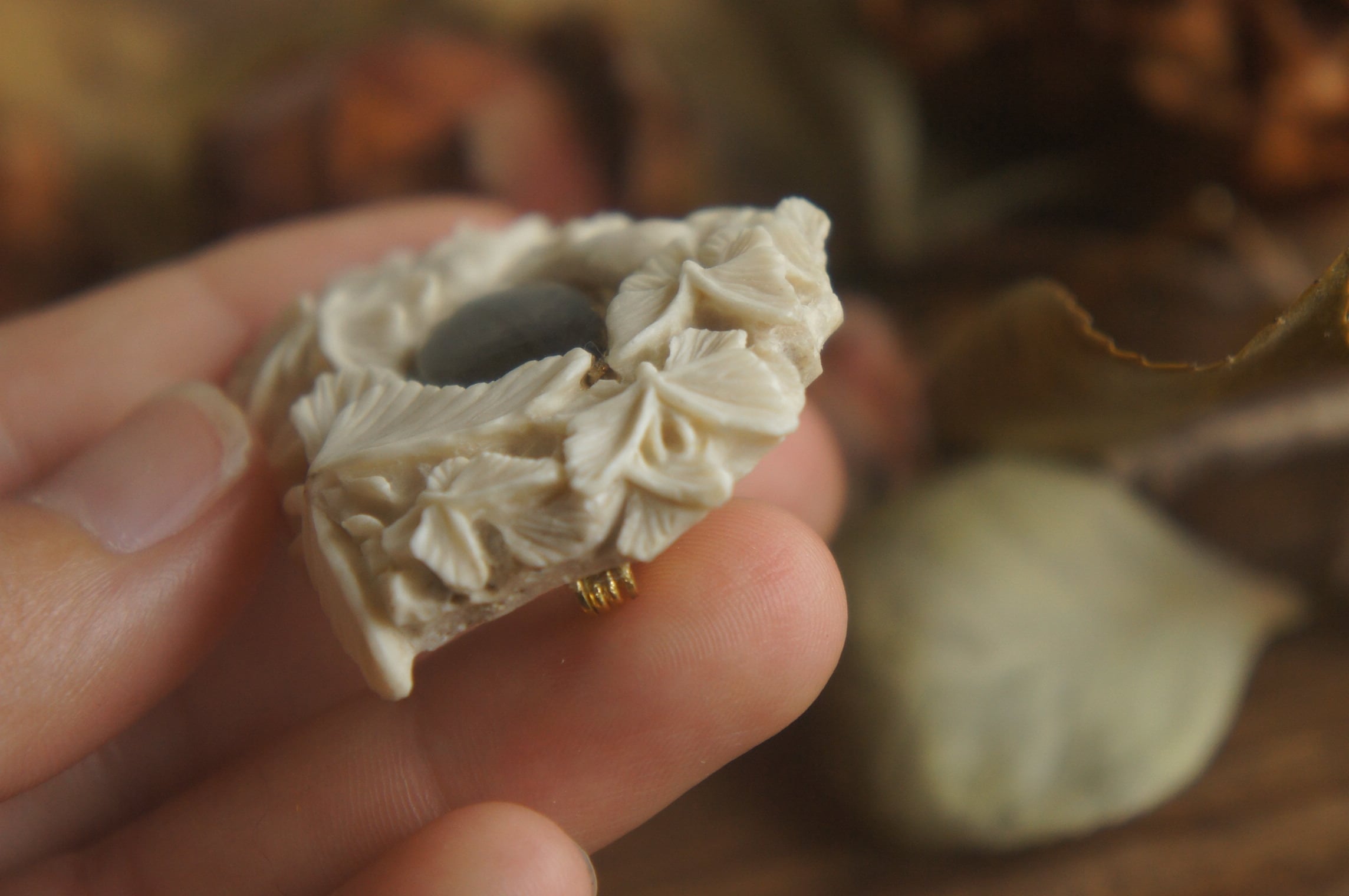 鹿角彫刻 ヤモリとモルフォ蝶のブローチ | deer bone 