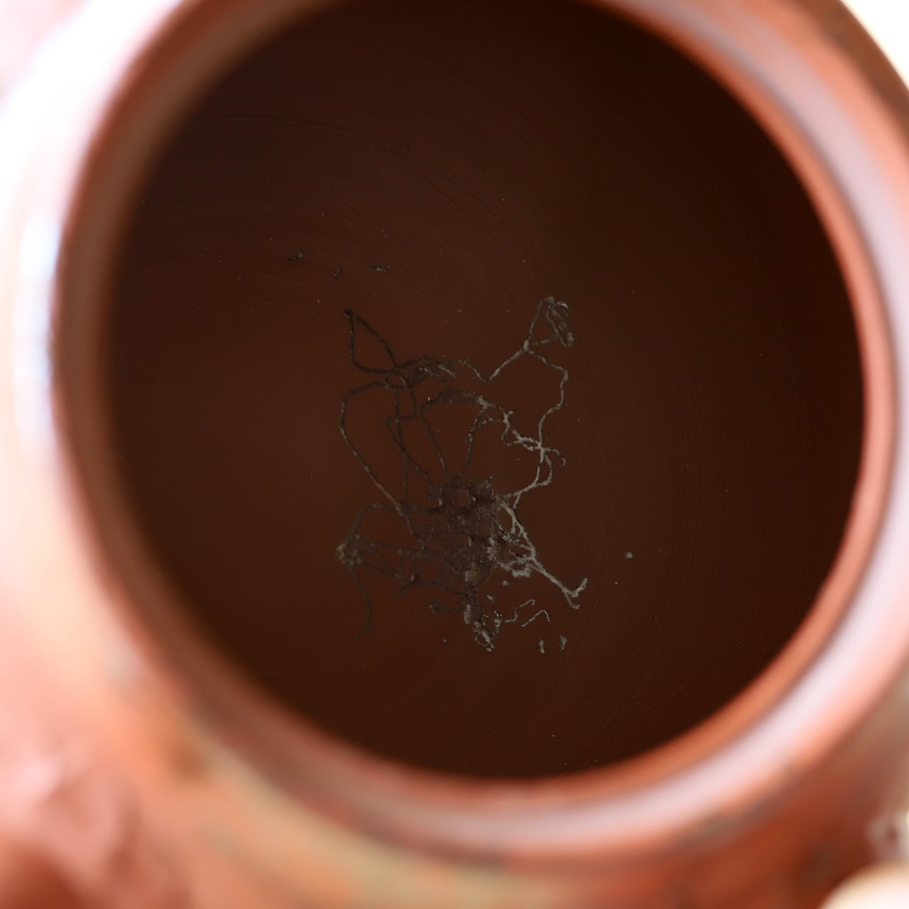 朱泥藻掛け 平急須 片山白山（常滑焼） | にっこう生活館 ONLINE SHOP