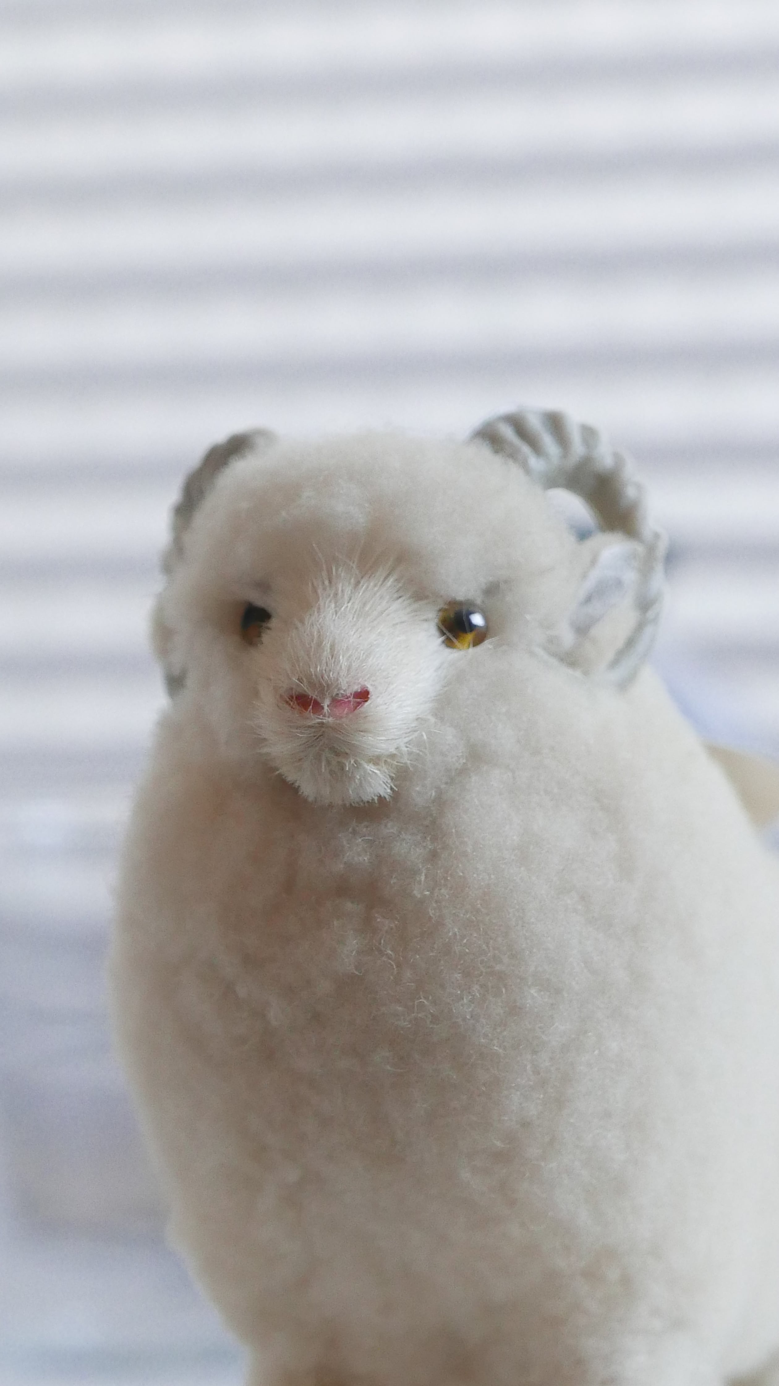 sheep object , pure wool #2