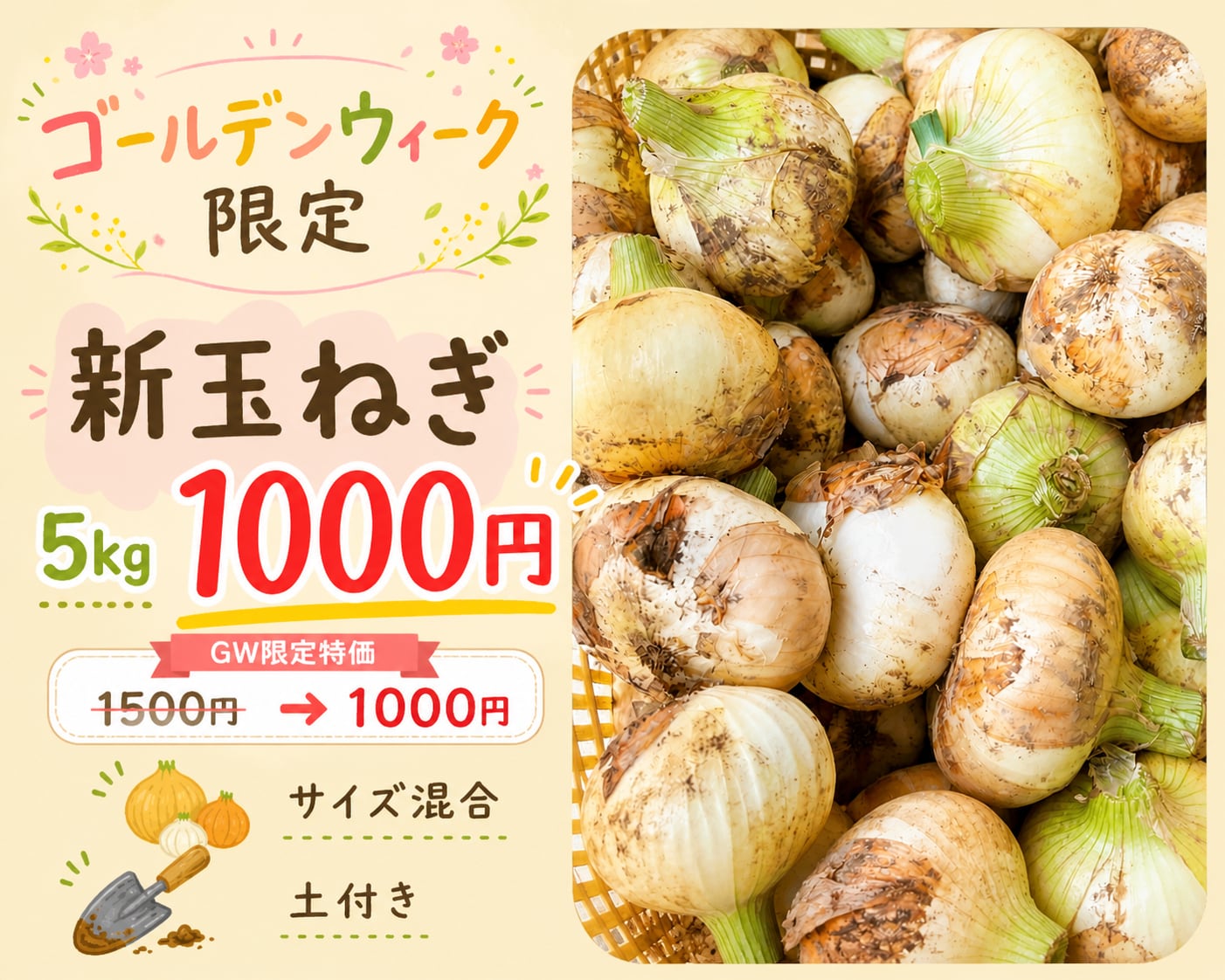 【ゴールデンウィーク限定】新玉ねぎ (サイズ混同) 5kg