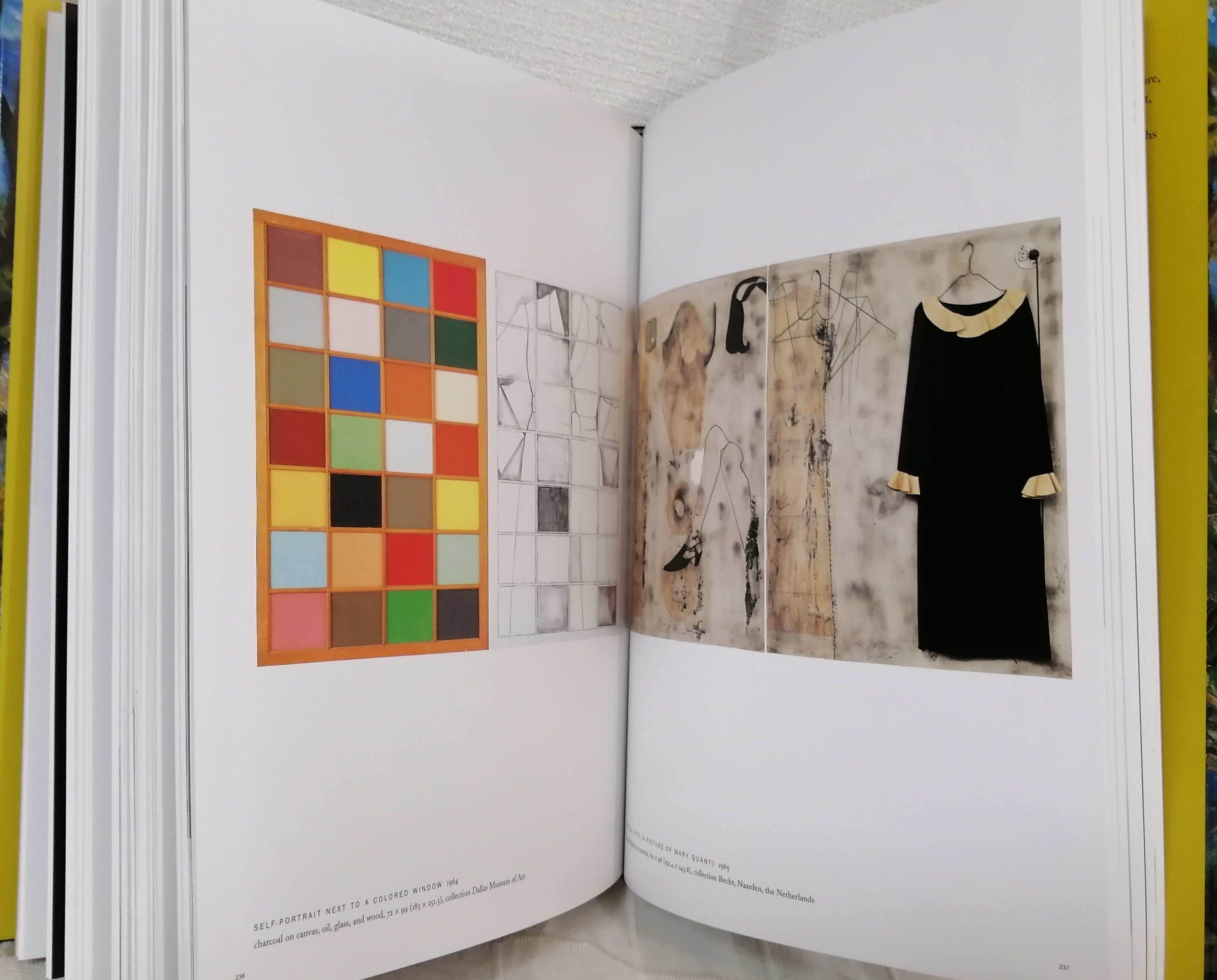 Marco Livingstone Jim Dine The Alchemy of Images ジム・ダイン 洋書