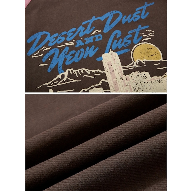 デザートグラフィックフェードウォッシュラグランTシャツ 2col R02572