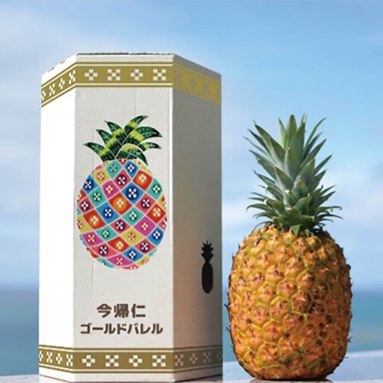 【贈答用】ゴールドバレル超大玉1玉2～2.4kg 贈答用BOX付き
