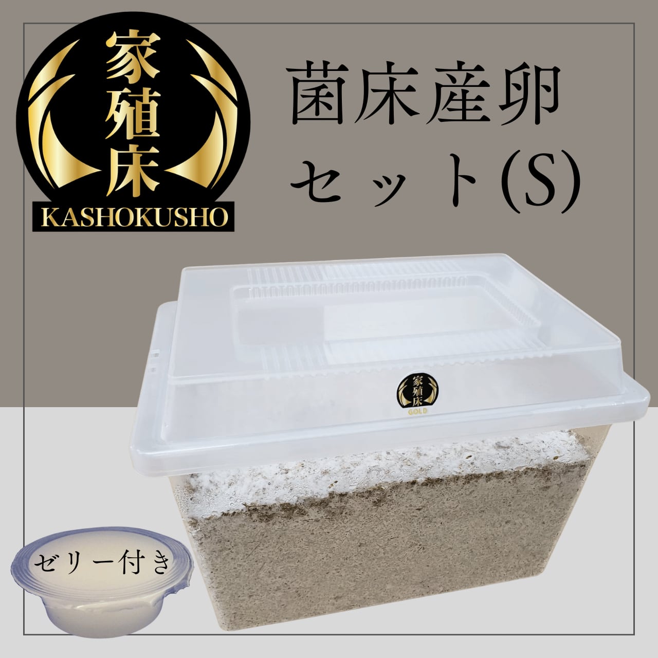 菌床産卵セット(S) 初心者にもオススメ ゼリー付き 家殖床【クワガタ用