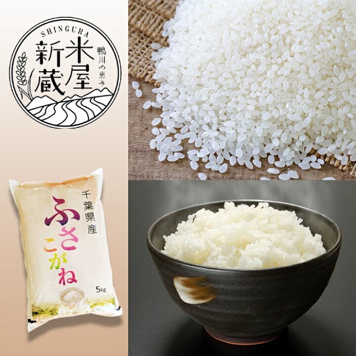 新米 令和7年産 「千葉県・鴨川産 ふさこがね」5kg 業務用・生活応援米