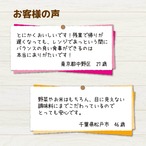 毎月お届け【定期便】　送料無料！6食セット（冷凍）ととのう弁当（6種類×各1食）