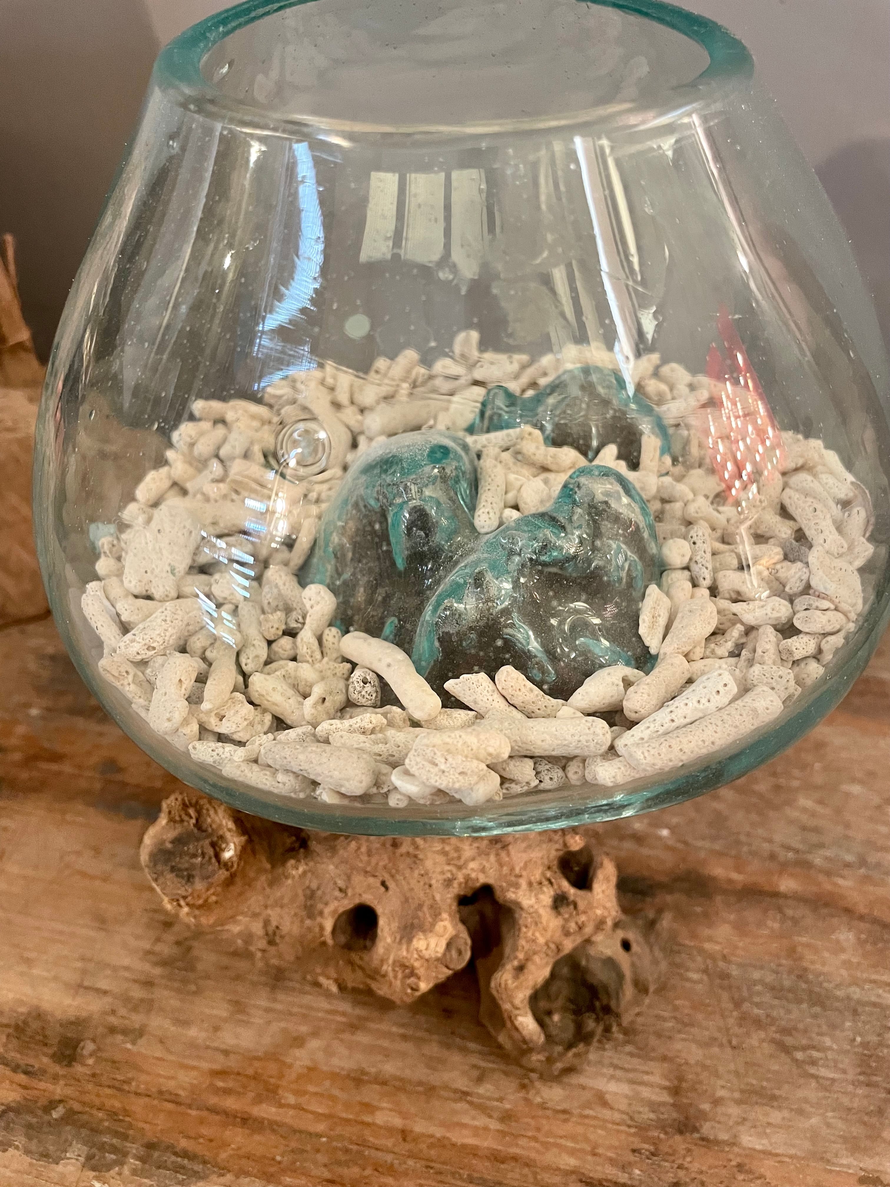 サンゴ砂L 1袋(300g) | plusgardensshop サンゴ砂L 1袋(300g) | plusgardensshop
