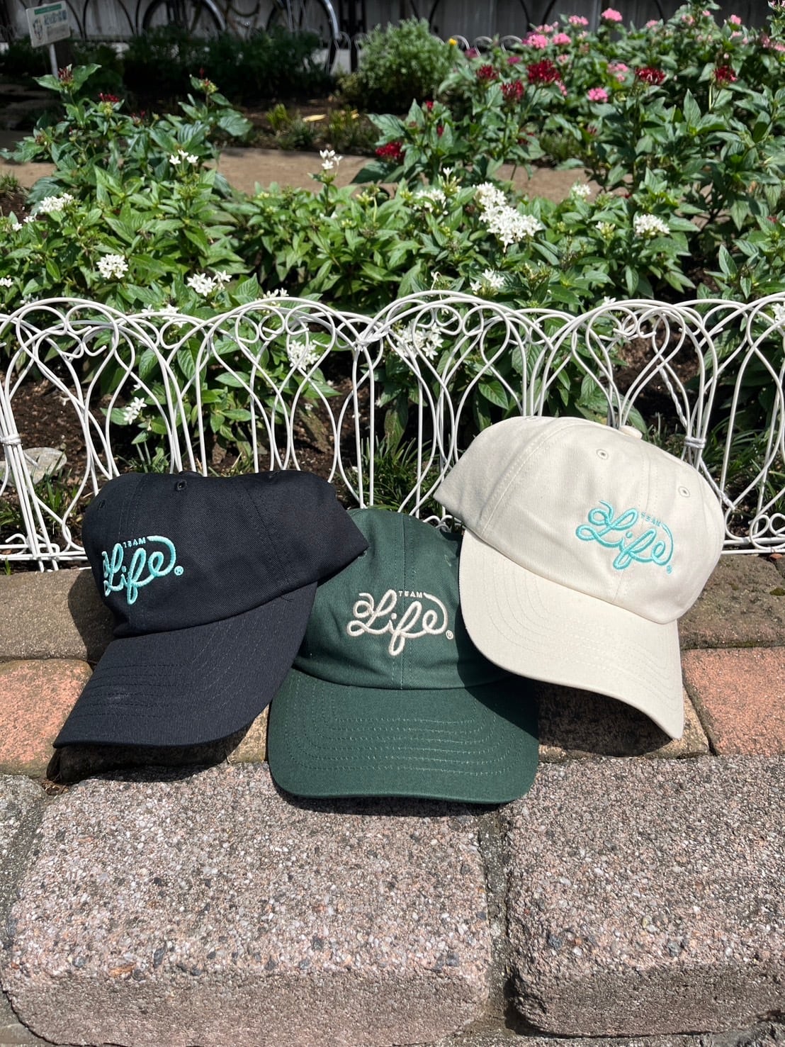 TEAM aLife コットンツイルローキャップ