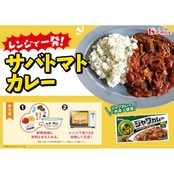 House ジャワカレー ハウス 中辛 185g×2個【カレールー】【スパイシー】