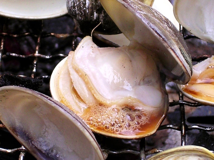 千葉県産 活ハマグリ砂抜き 特大1Kg 【〆印島長水産】本州・四国のみ