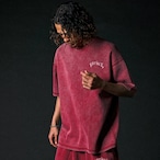 OG SMALL LOGO PIGMENT TEE