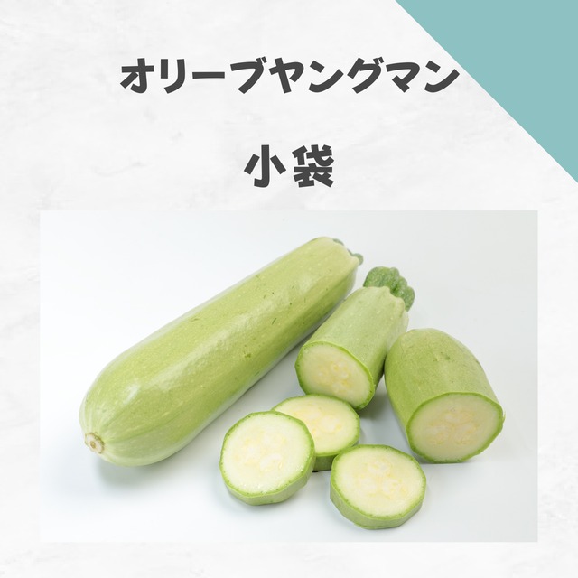 オリーブヤングマン　ズッキーニ種子・小袋