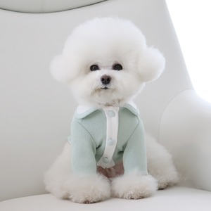L/即納【Chiot】Blooming collar cardigan《MilkyMint》