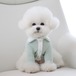 L/即納【Chiot】Blooming collar cardigan《MilkyMint》