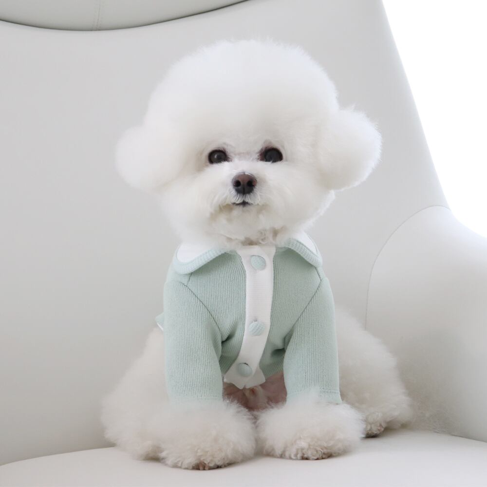 L/即納【Chiot】Blooming collar cardigan《MilkyMint》