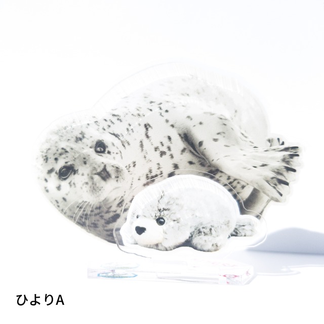 アクリルスタンド あぐ ひより アザラシシーパラダイス 公式 アザラシシーパラダイスグッズショップ