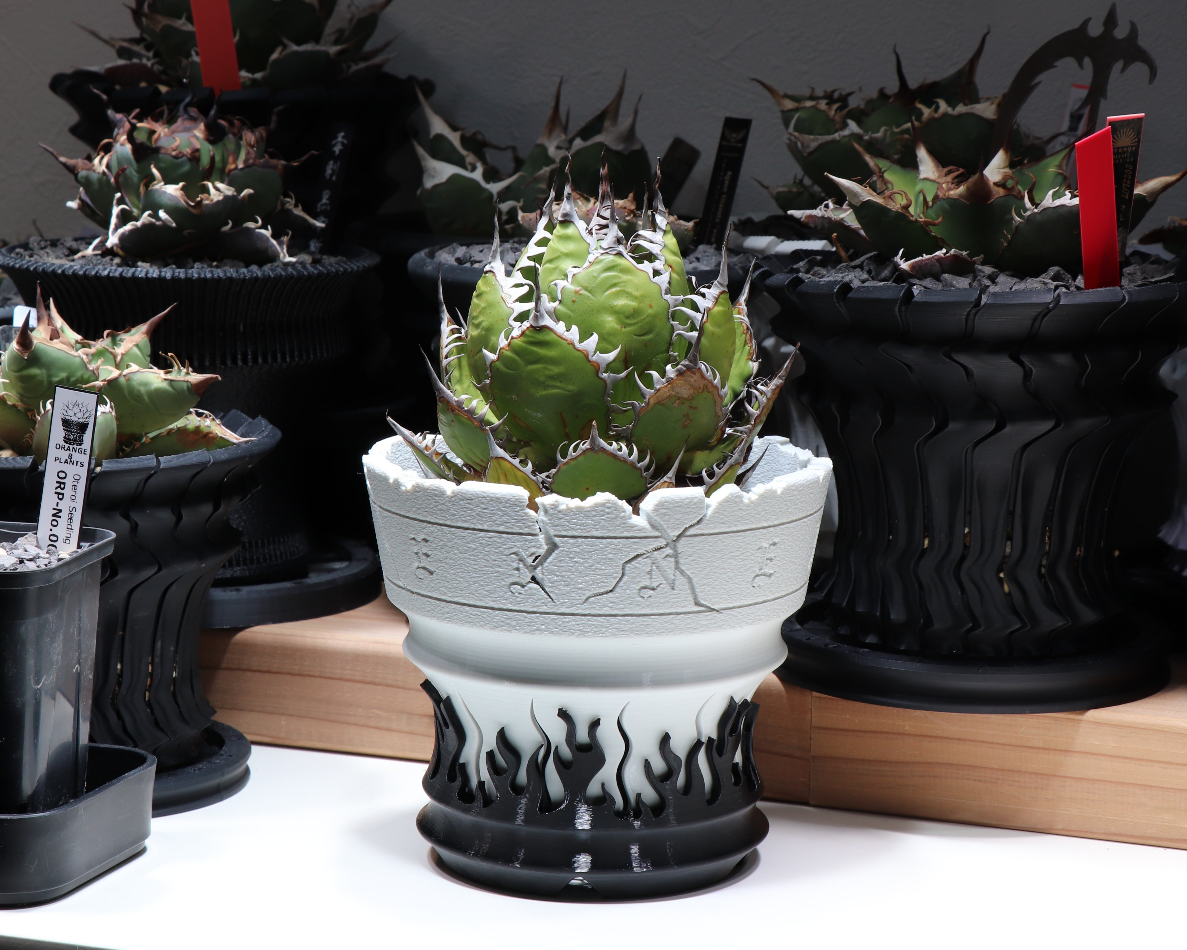 植木鉢 4号～6号｜炎影鉢 ENNEI（作家鉢・アガベ・多肉植物