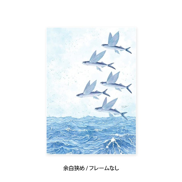 A4｜魚翔海図（ぎょしょうかいず）（フレームなし）