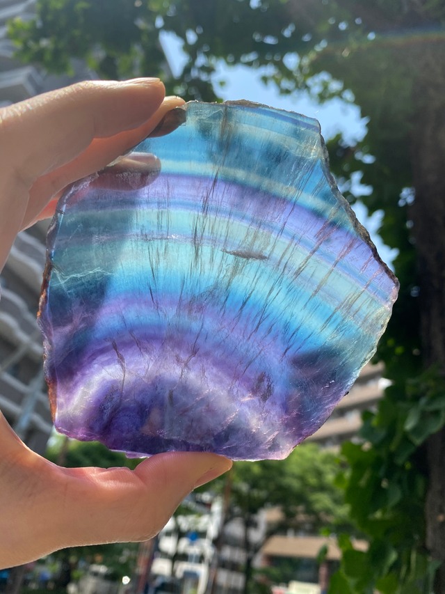 レインボーフローライト✨プレート✨扇型