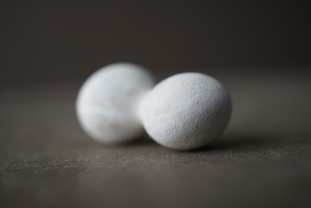 メニライトオパール Menilite Opal 1923