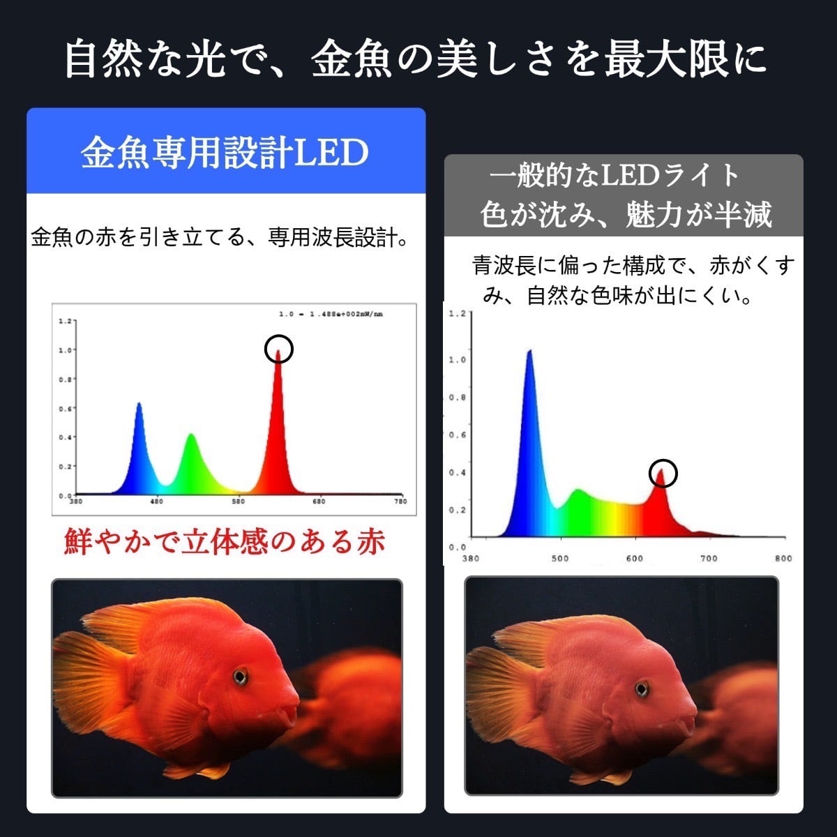 90cm水槽用】Aqua Sunlight - 高性能水中LEDライト - | 金魚専門店