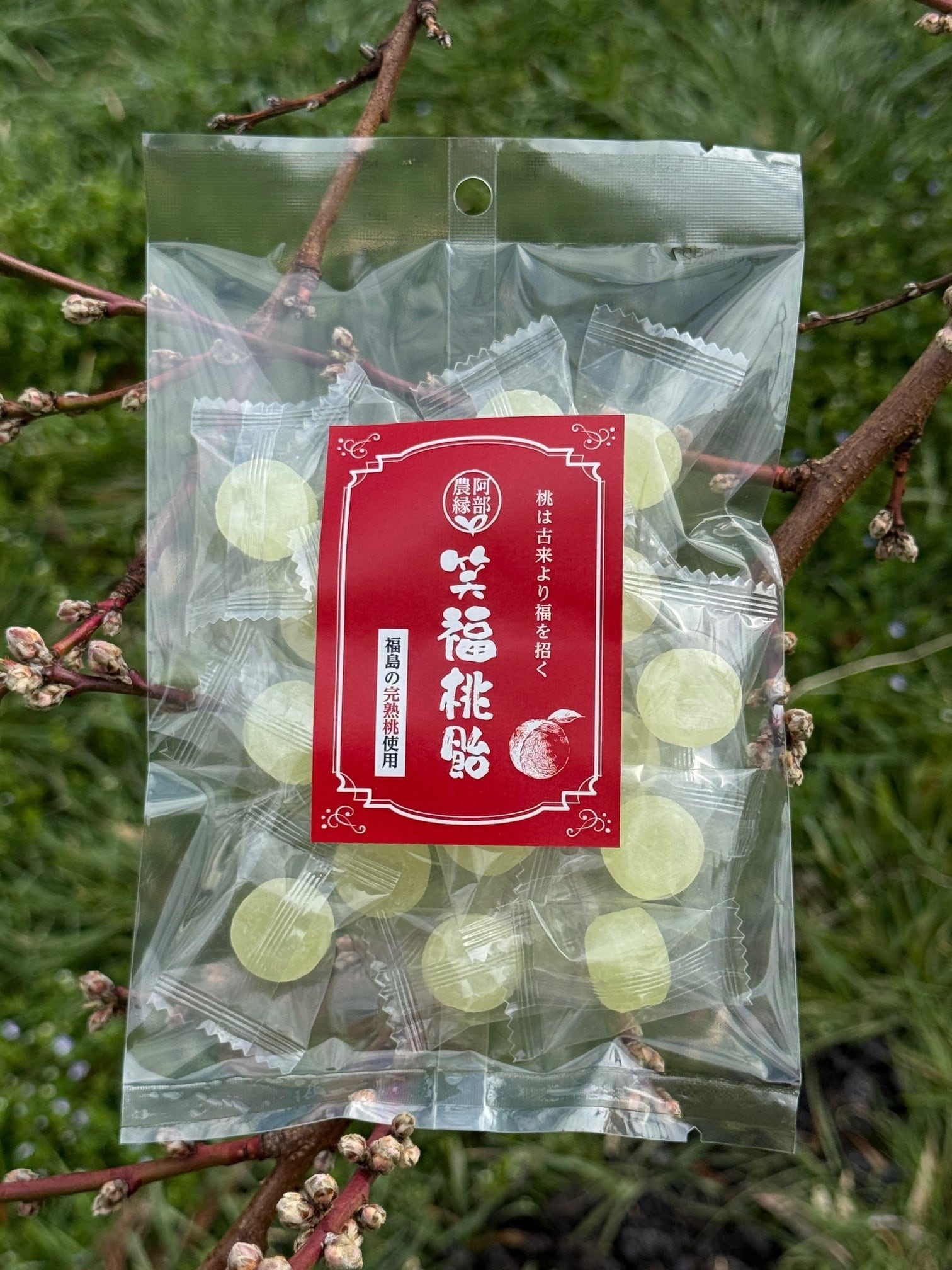 福島の完熟桃から生まれた「笑福桃飴」100g | 阿部農縁