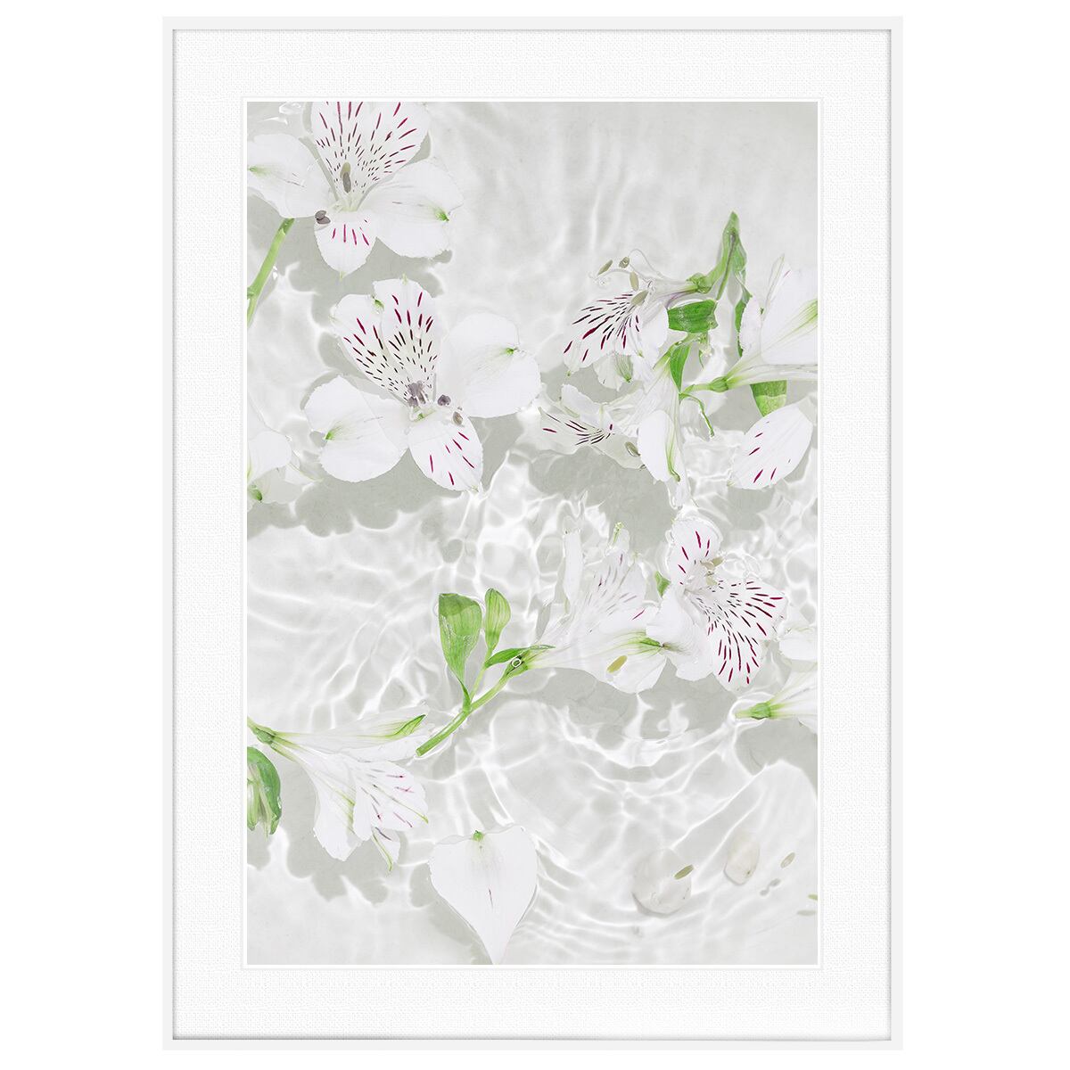 花写真 水中のアルストロメリア インテリア アートフォトポスター額装 AS4683