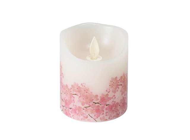 【トウロウ】灯ととなり　桜