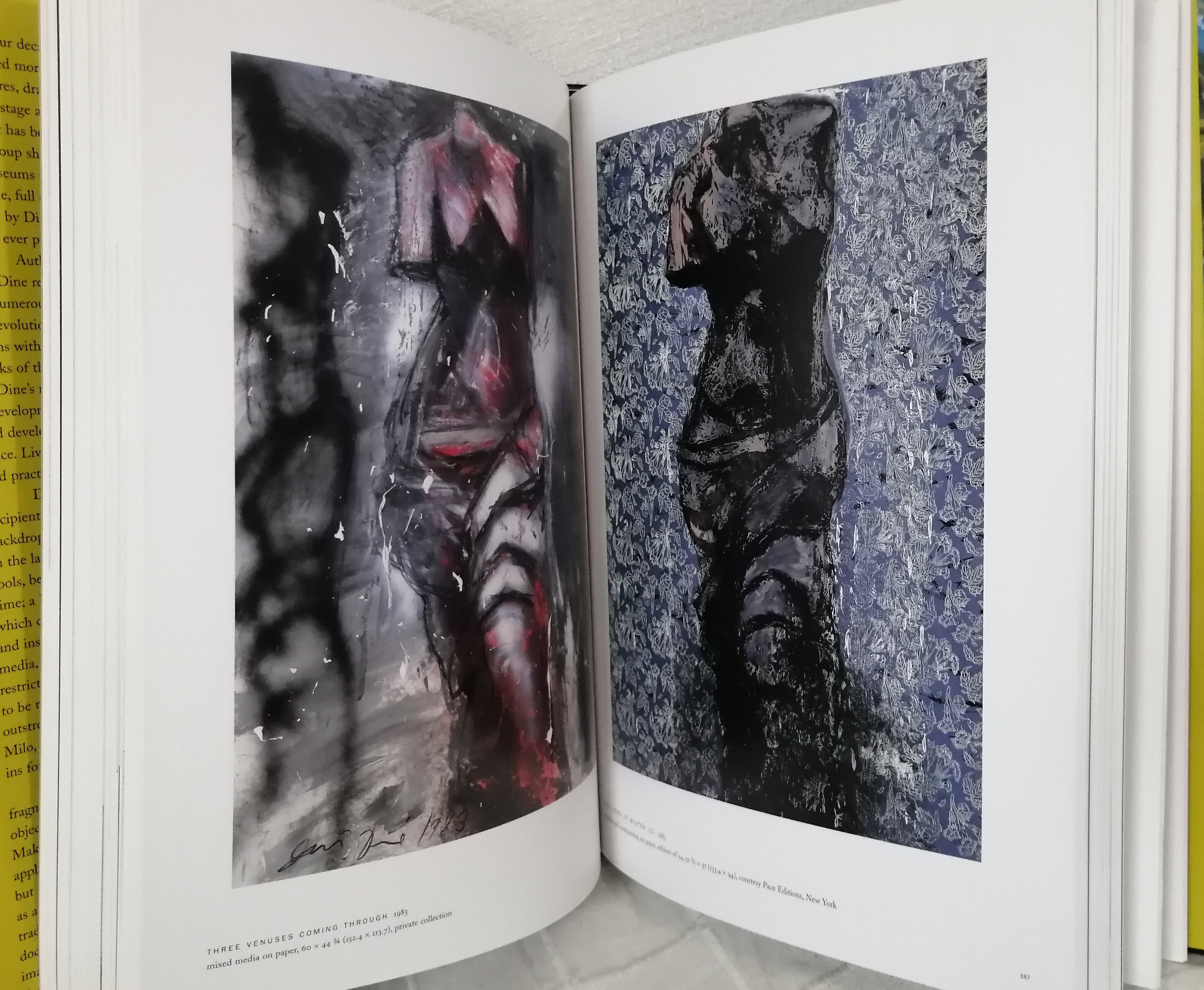 Marco Livingstone Jim Dine The Alchemy of Images ジム・ダイン 洋書