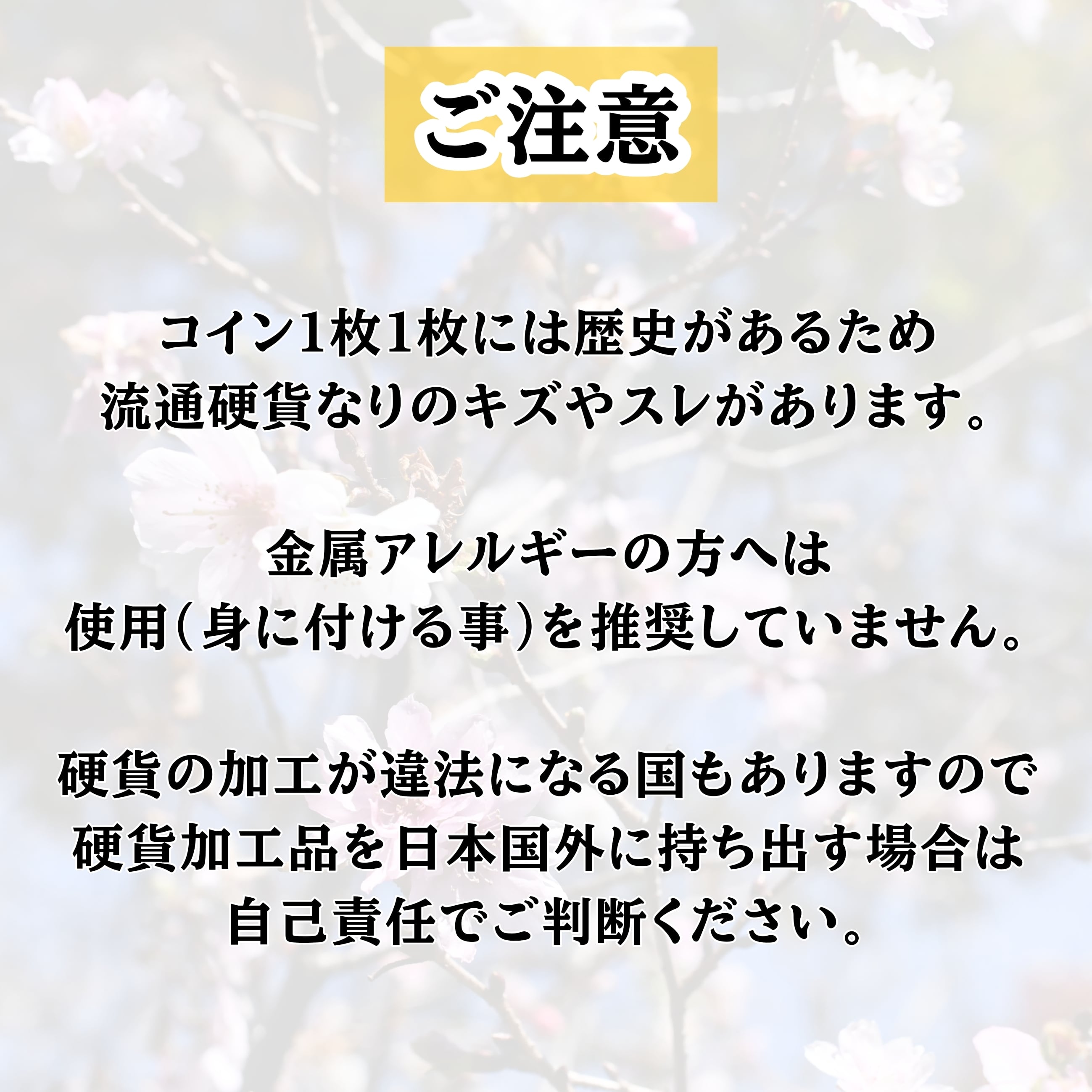 アメリカ 1ドル(アンソニー) ガーディアンベル | みのりのガーネット