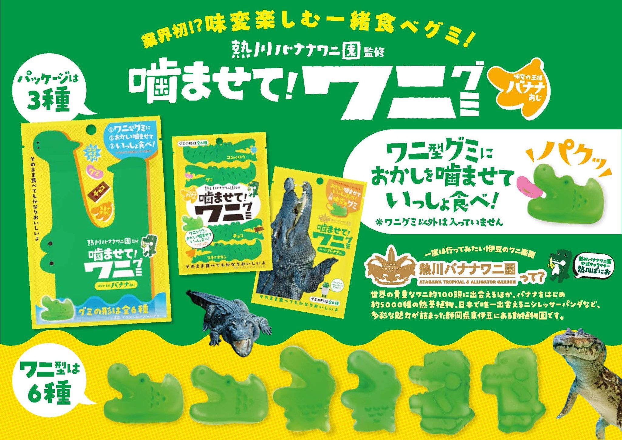 c4c596787a82408e7cd071ef79729a