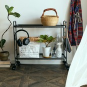 lron Shelf Wagon
