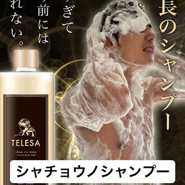 TELESAシャントリボディ 400ml | R・E・P TELESAシャントリボディ 400ml | R・E・P