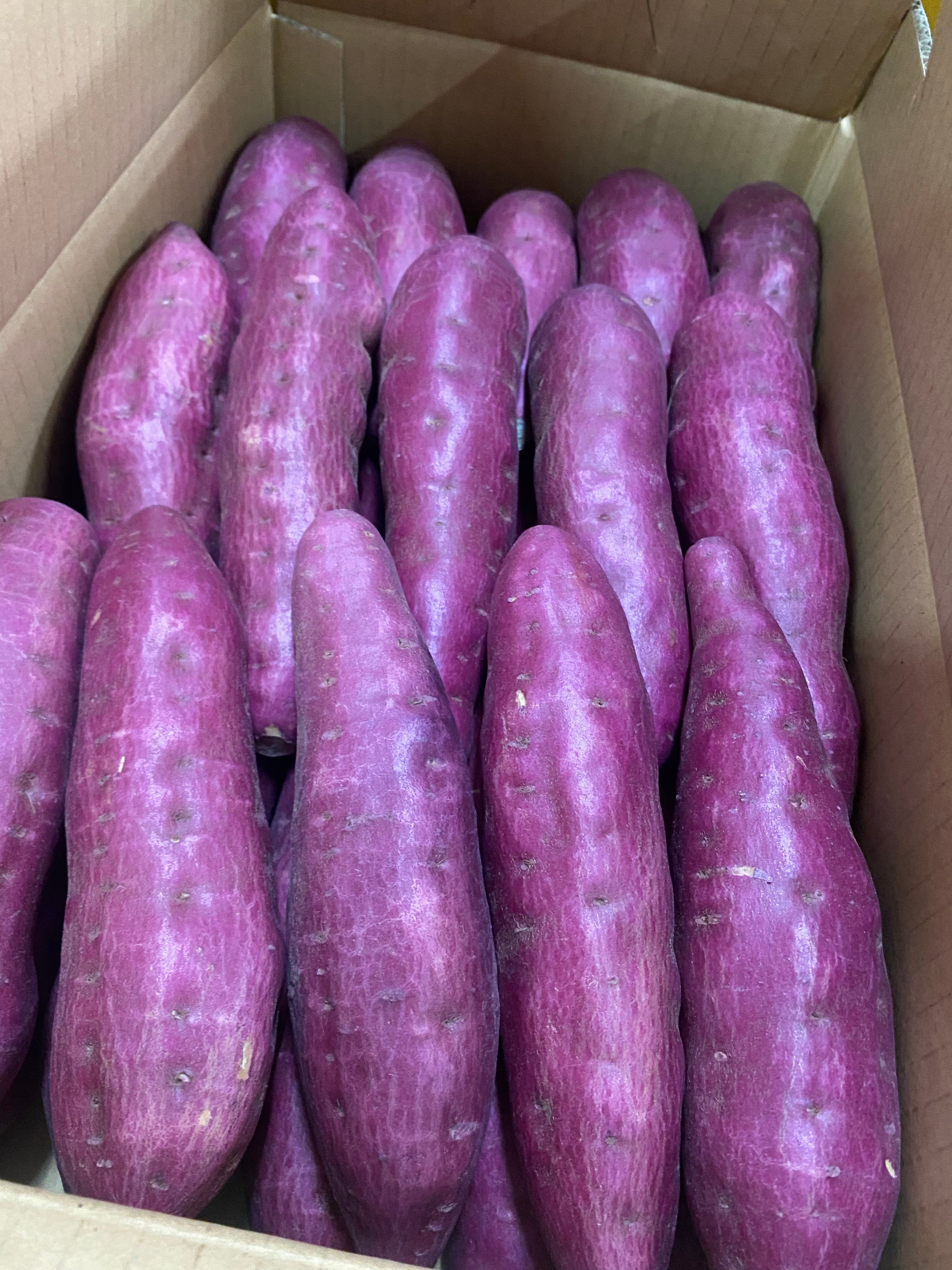 c4cdc677bdc7b77dde953b31d8ad6c